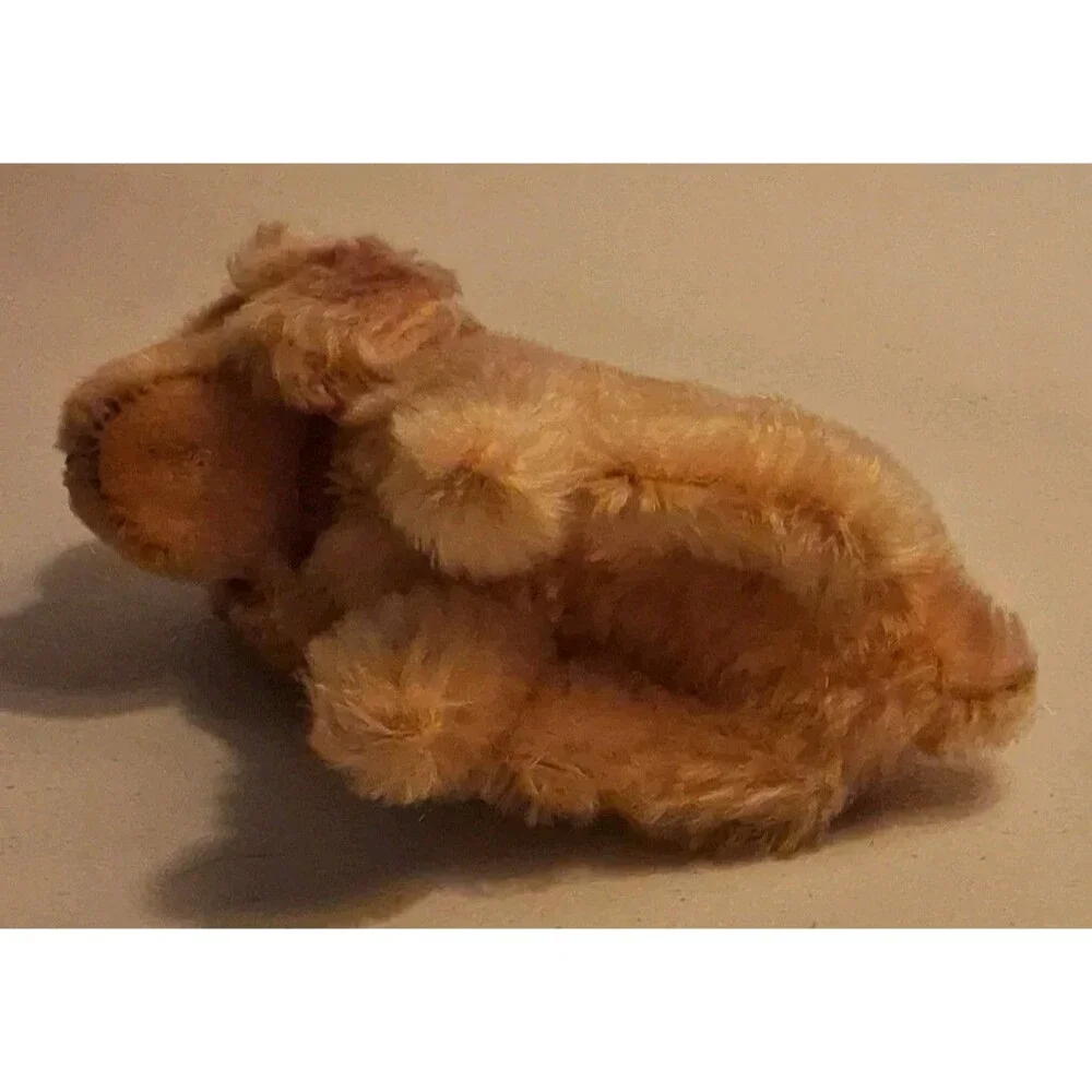 Steiff Revue Susi Cocker Spaniel 1960's Steiff Dog